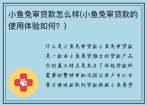 小鱼免审贷款怎么样(小鱼免审贷款的使用体验如何？)